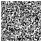 QR code with Blue Ridge Software Systems contacts