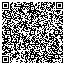QR code with Premier Windows contacts