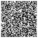 QR code with Carpet One of Burke contacts