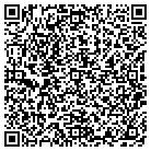 QR code with Pulaski Crown & Bridge Lab contacts