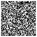 QR code with Catoctin Consulting contacts