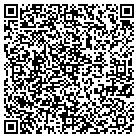 QR code with Pulaski Finance Department contacts