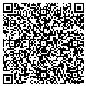 QR code with Antics contacts