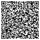 QR code with Professional Outlook contacts