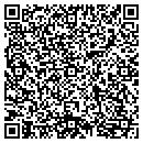 QR code with Precious Places contacts
