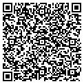 QR code with Angell contacts