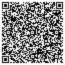 QR code with Pulse-Link Inc contacts