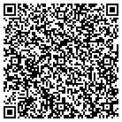 QR code with Publishing Connections contacts