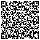 QR code with Cybersgoodies contacts