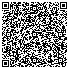QR code with Pulaski Public Works Adm contacts