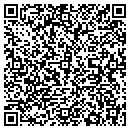 QR code with Pyramed Group contacts