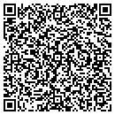 QR code with Blue Ridge Structure contacts