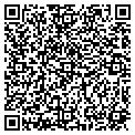 QR code with T Gas contacts