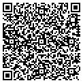 QR code with Alltel contacts