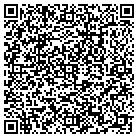QR code with Public Library Systems contacts