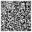QR code with Carter Calibrations contacts