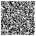 QR code with Nsw LLC contacts