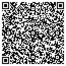 QR code with Premier Car Rental contacts