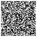 QR code with Carrier Access contacts