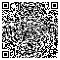 QR code with Attic contacts