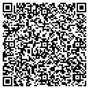 QR code with Blue Ridge Mill Work contacts