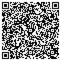 QR code with V F W contacts