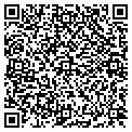 QR code with M-Cam contacts