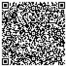 QR code with Bluewater Pool Service contacts