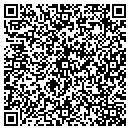QR code with Precursor Systems contacts