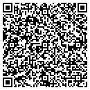 QR code with Clark D Fortney Pllc contacts