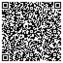 QR code with Pyramis Corp contacts