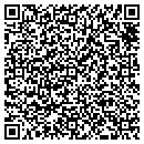 QR code with Cub Run Farm contacts