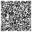 QR code with Capitol Services Inc contacts