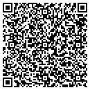 QR code with Culvey Group contacts