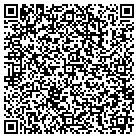 QR code with Pulaski County Jaycees contacts
