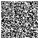 QR code with Projtech Inc contacts