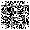 QR code with Color Connection contacts