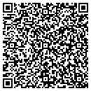 QR code with Carter Co Inc C Ray contacts