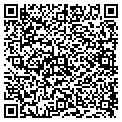 QR code with Infe contacts