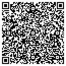 QR code with Punit Johar Inc contacts