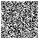 QR code with Psychometric Data Inc contacts