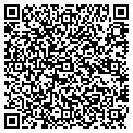 QR code with Zocalo contacts