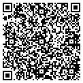 QR code with IBEW contacts