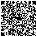 QR code with Carl's Consulting LTD contacts