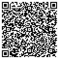 QR code with Stg Inc contacts