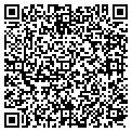 QR code with T W N F contacts