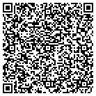 QR code with Pulliam Piano Moving contacts