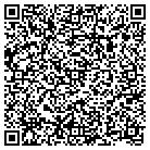 QR code with Public Library Systems contacts