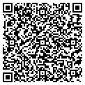 QR code with Lociva contacts