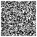 QR code with Pyramids Bazaar contacts